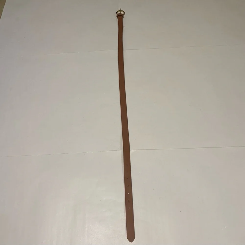 Target Elegant Tan Belt